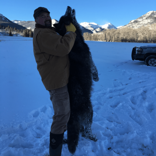 Wyoming Wolf Hunting Guides