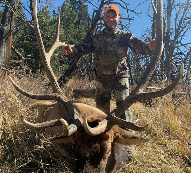 Bull Elk Hunts In Wyoming