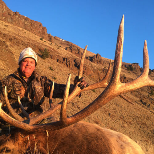Bull Elk Hunts In Wyoming