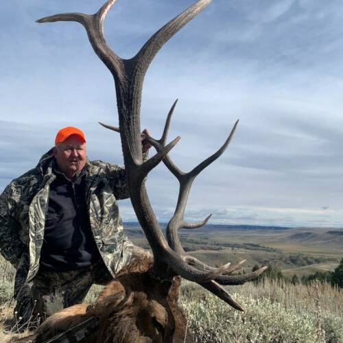 Trophy Bull Elk Hunts Wyoming