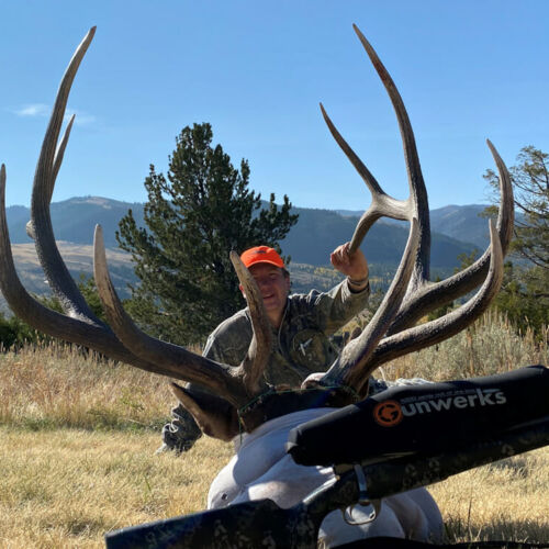 Wyoming Elk Rifle Hunts