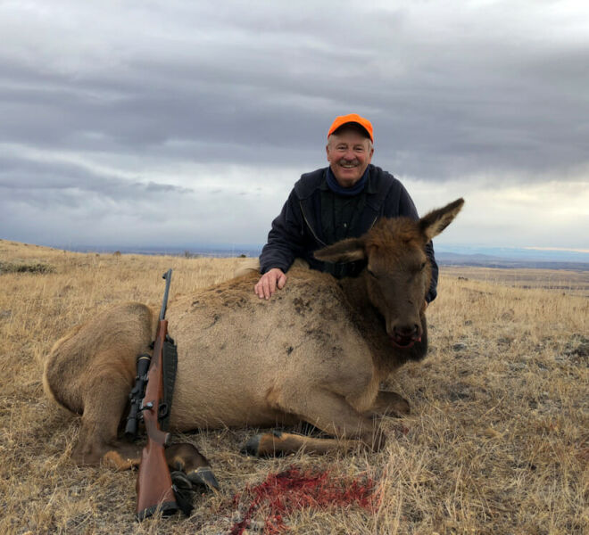 Cow Elk Rifle Hunts Wyoming