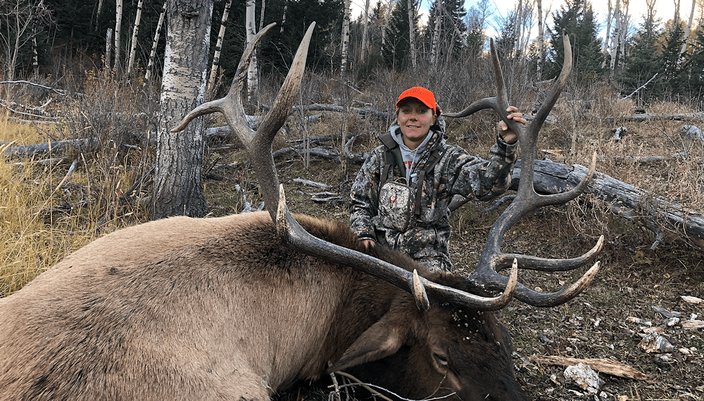 Wyoming Elk Hunts with WRO