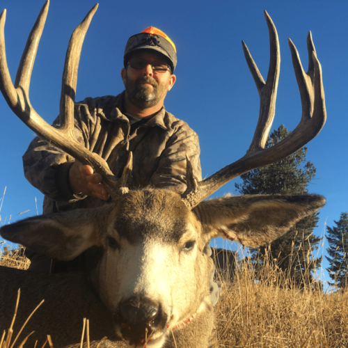 Northwest Wyoming Mule Deer Hunts