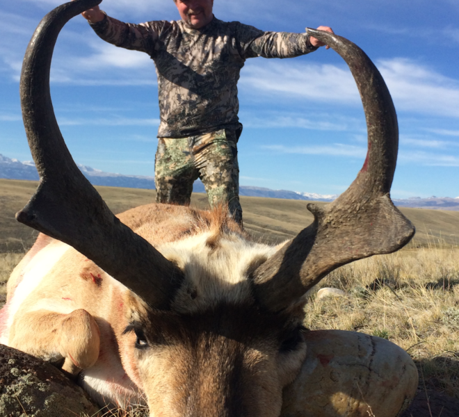 Wyoming Pronghorn Hunts