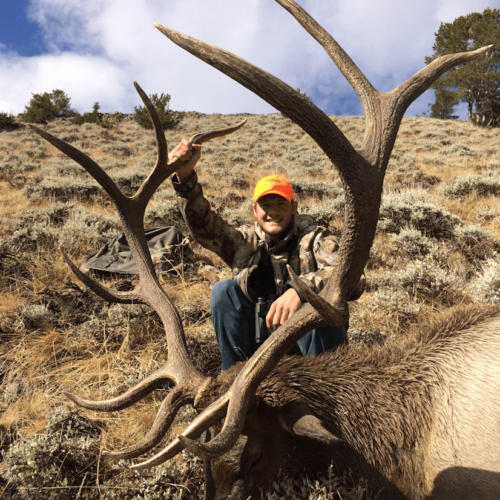 Big Bull Hunts In Wyoming