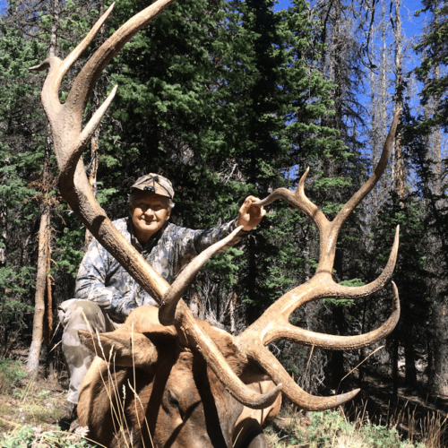 Elk Hunting With Wyoming Guides