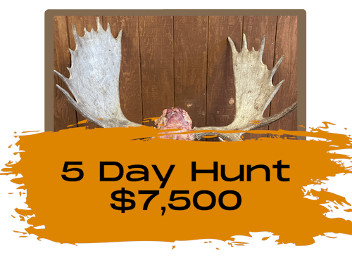 5 Day Moose Hunt Wyoming 5 Day Moose Hunt Wyoming