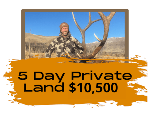 5 Day Private Land Bull Hunts In Wyoming
