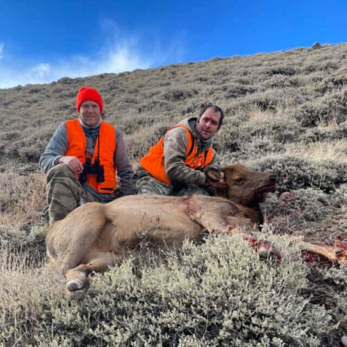 Two Rifle Hunters in Wyoming With Elk