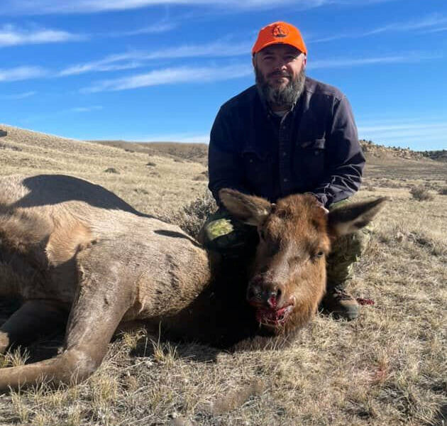 Rifle Cow Elk Hunt Wyoming