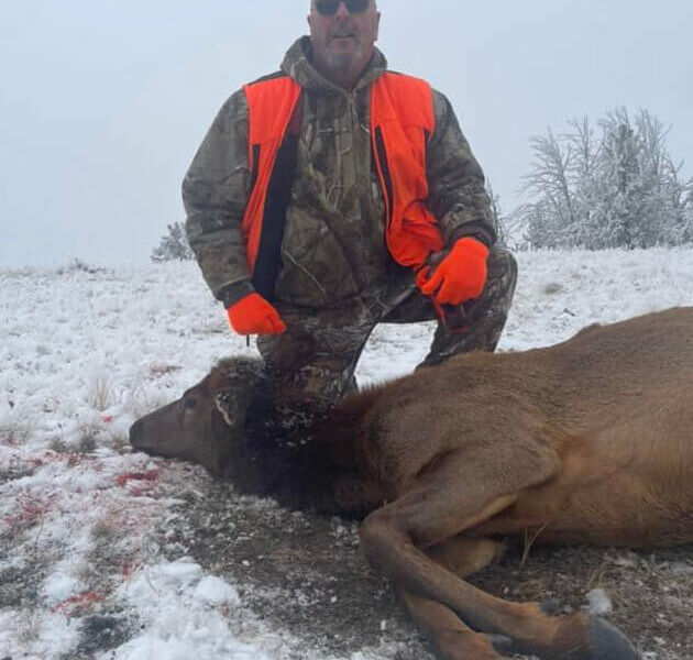 Rifle Elk Hunt Wyoming
