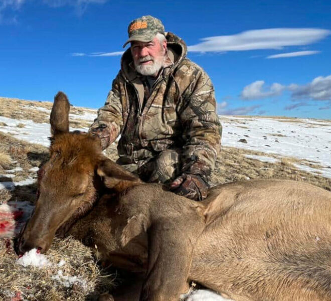 Hunting Cow Elk in Wyoming