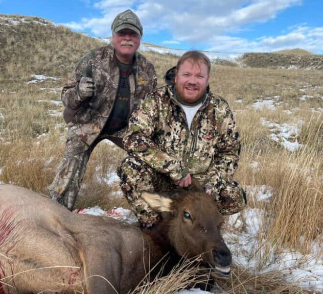 Cow Elk Hunts With Rifle in Wyoming