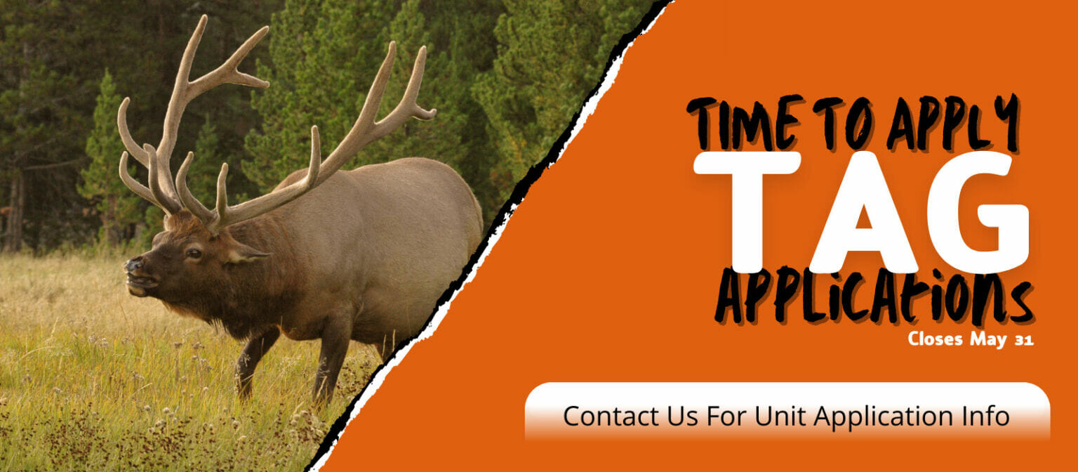 Wyoming Hunting Outfitters For Elk, Deer, Pronghorn, Wolf, Turkey, Goats