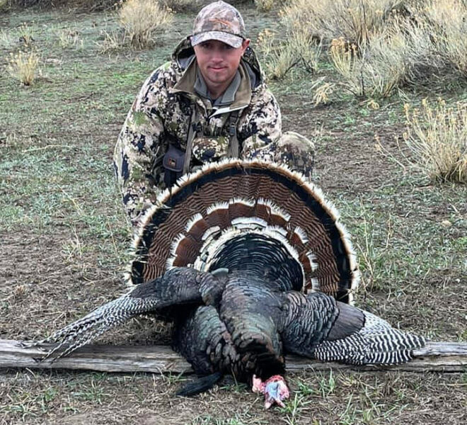 Spring Turkey Hunting with Wyoming Guides