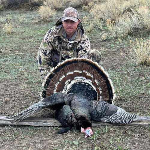 Spring Turkey Hunting with Wyoming Guides