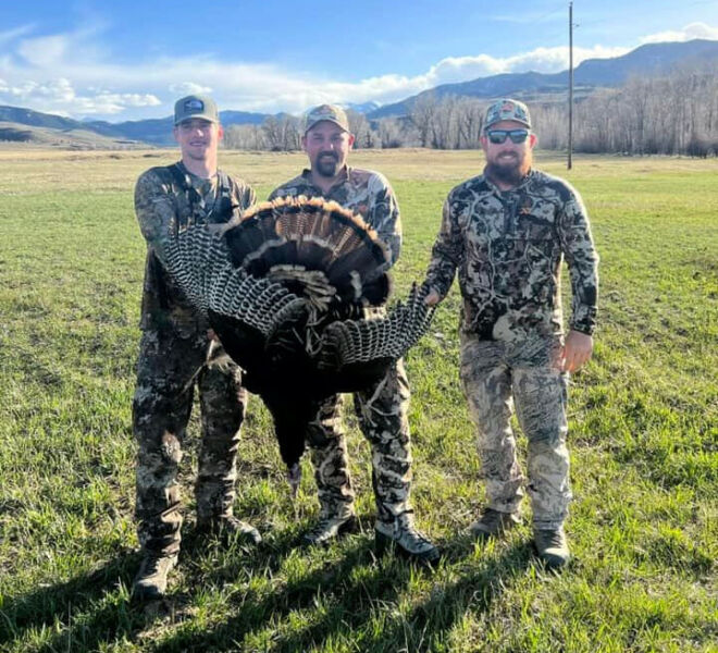 Guided Turkey Hunts in Wyoming