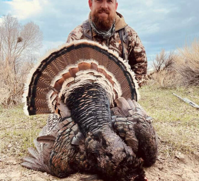Turkey Hunting Trips in Wyoming