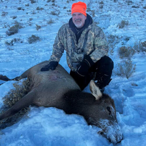 Late Season Cow Elk Hunt in Wyoming