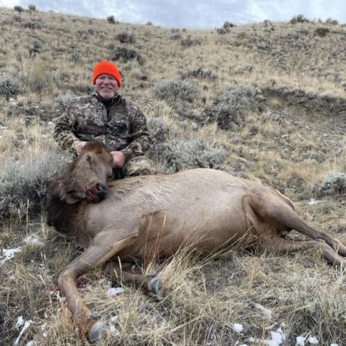 Cow Elk Hunting Trip in Wyoming
